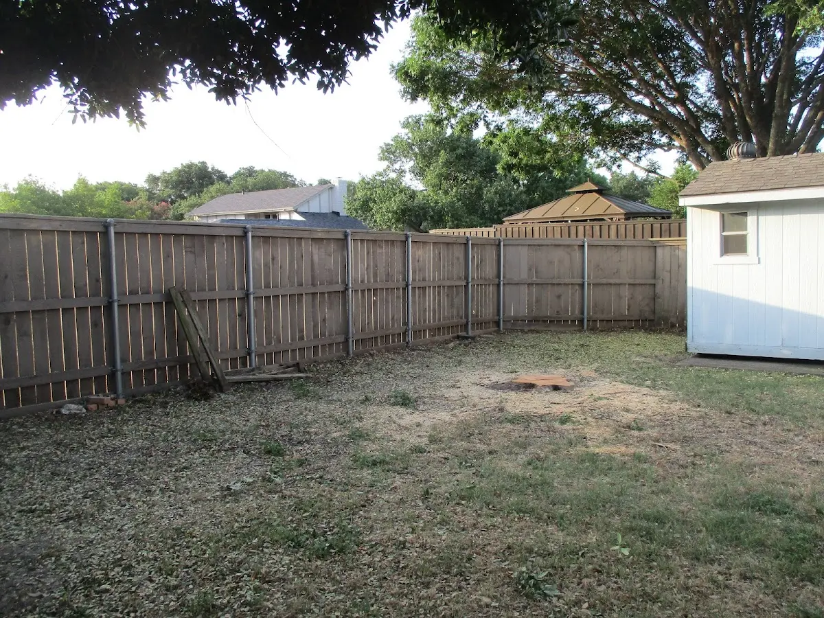 Cleared yard after professional tree removal in Eutawville
